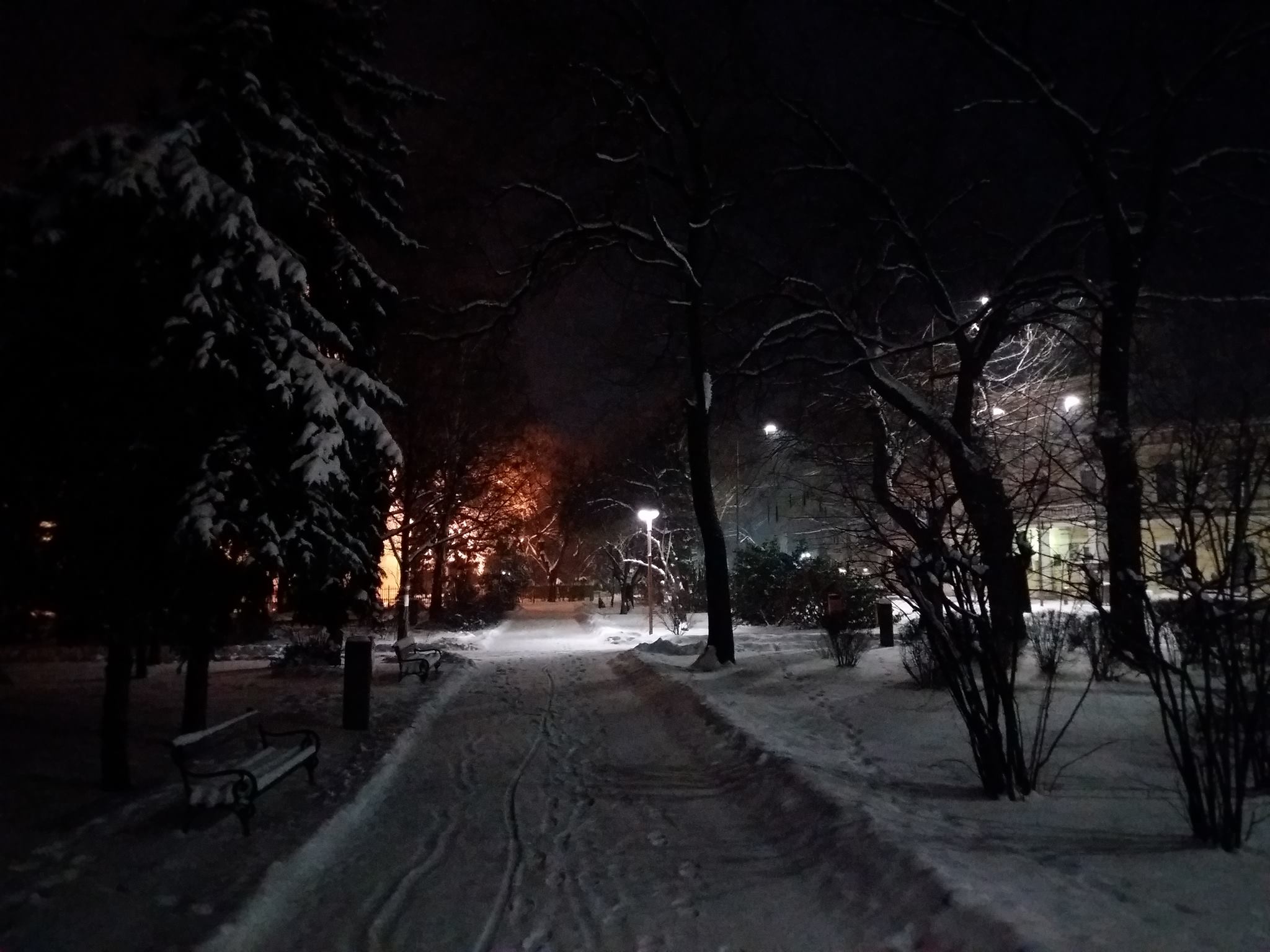 Zimní park v noci