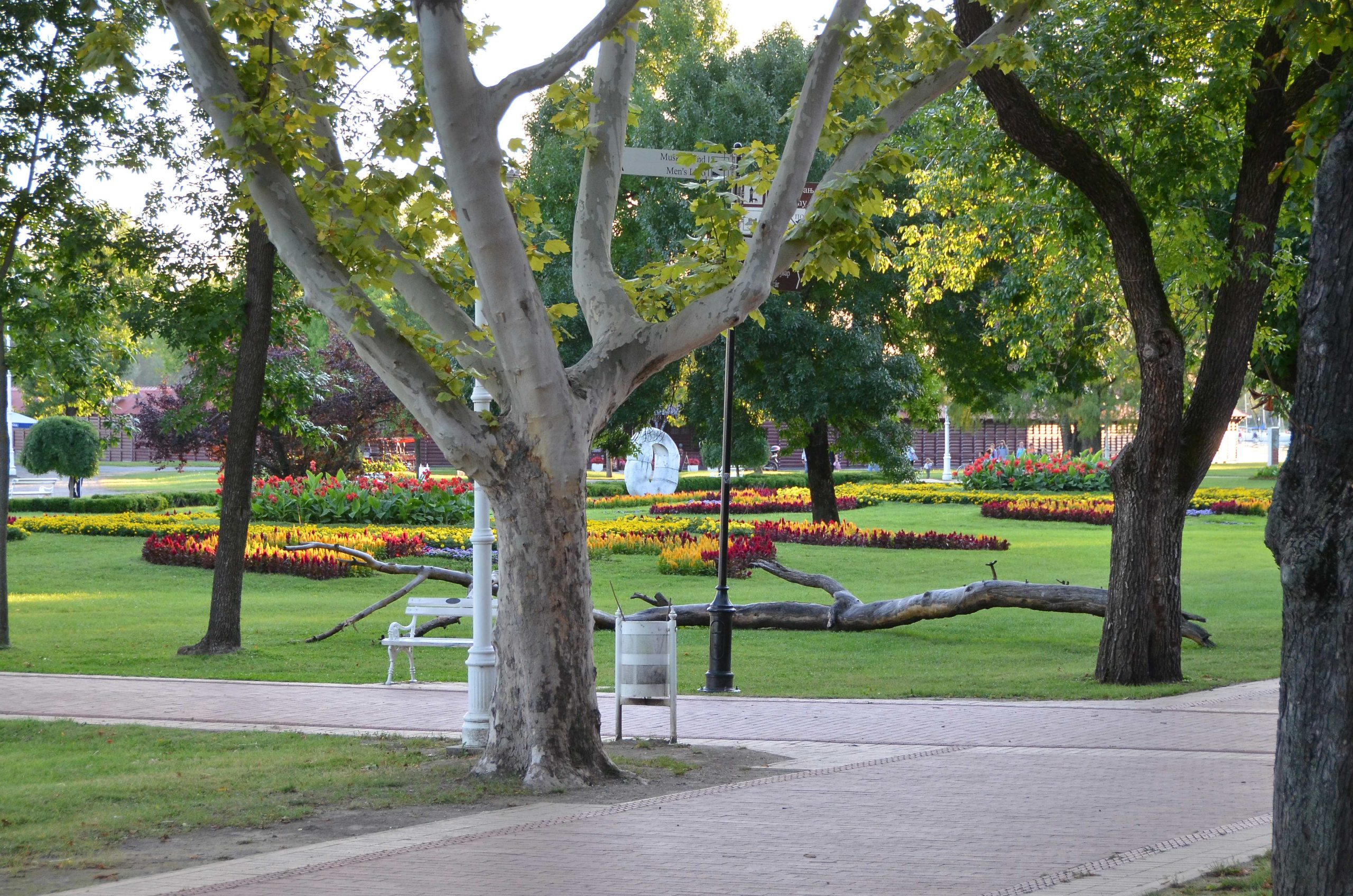 Palić park